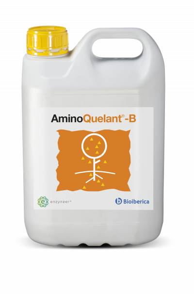 Imagen de Aminoquelant Boro